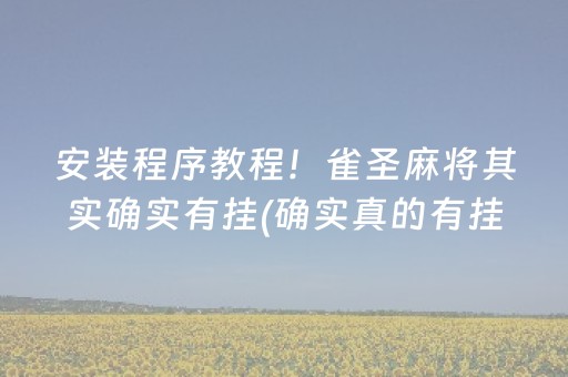 安装程序教程！雀圣麻将其实确实有挂(确实真的有挂)
