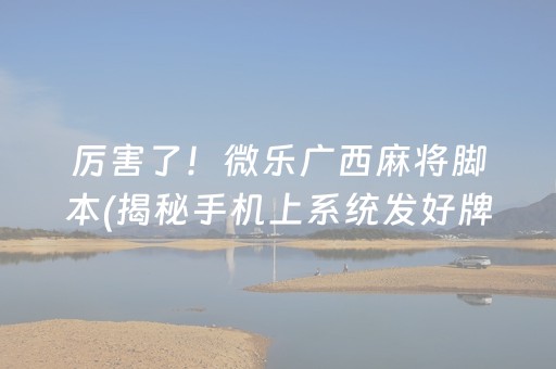 厉害了！微乐广西麻将脚本(揭秘手机上系统发好牌)