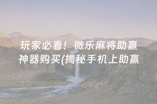 玩家必看！微乐麻将助赢神器购买(揭秘手机上助赢神器)