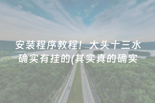 安装程序教程！大头十三水确实有挂的(其实真的确实有挂)