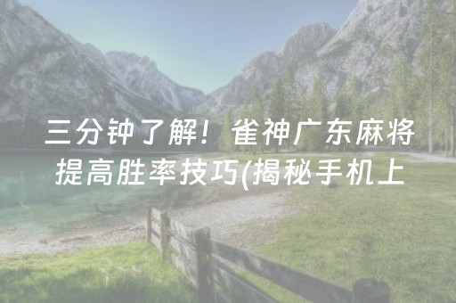 三分钟了解！雀神广东麻将提高胜率技巧(揭秘手机上提高胜率)