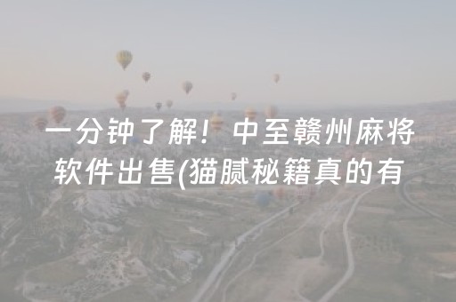 一分钟了解！中至赣州麻将软件出售(猫腻秘籍真的有挂)