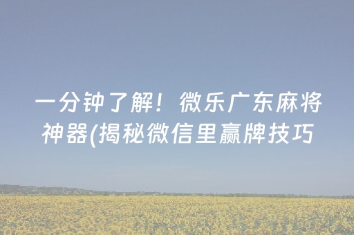 一分钟了解！微乐广东麻将神器(揭秘微信里赢牌技巧)