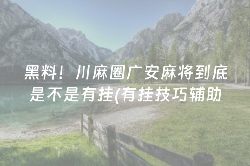 黑料！川麻圈广安麻将到底是不是有挂(有挂技巧辅助器)