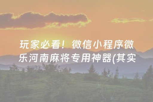玩家必看！微信小程序微乐河南麻将专用神器(其实真的有挂)