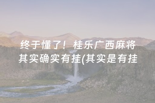 终于懂了！桂乐广西麻将其实确实有挂(其实是有挂的)