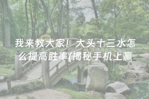 我来教大家！大头十三水怎么提高胜率(揭秘手机上赢的诀窍)