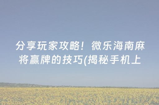 分享玩家攻略！微乐海南麻将赢牌的技巧(揭秘手机上助赢神器)