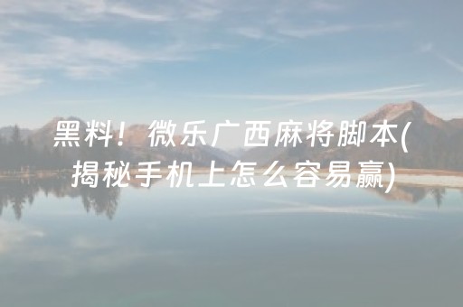 黑料！微乐广西麻将脚本(揭秘手机上怎么容易赢)