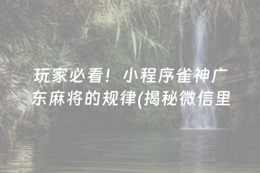 玩家必看！小程序雀神广东麻将的规律(揭秘微信里插件购买)