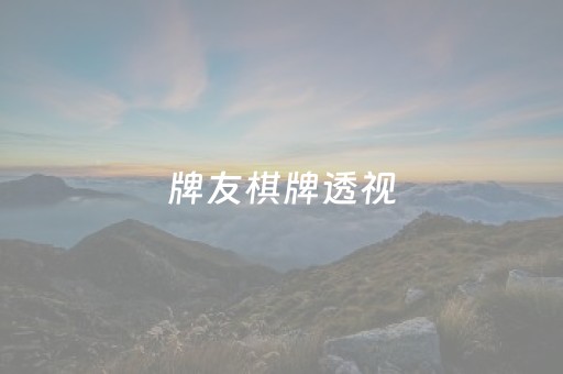 牌友棋牌透视（牌友会透视）