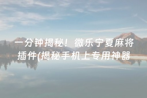 一分钟揭秘！微乐宁夏麻将插件(揭秘手机上专用神器下载)