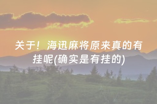 关于！海迅麻将原来真的有挂呢(确实是有挂的)