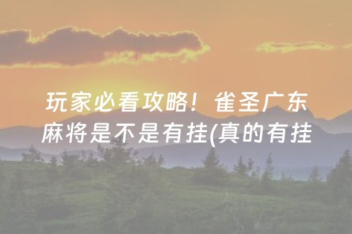 玩家必看攻略！雀圣广东麻将是不是有挂(真的有挂)