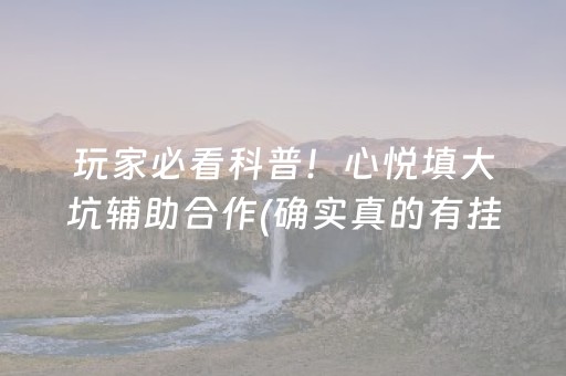 玩家必看科普！心悦填大坑辅助合作(确实真的有挂)