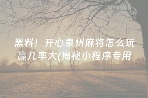 黑料！开心泉州麻将怎么玩赢几率大(揭秘小程序专用神器下载)