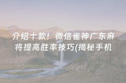 介绍十款！微信雀神广东麻将提高胜率技巧(揭秘手机上赢的秘诀)
