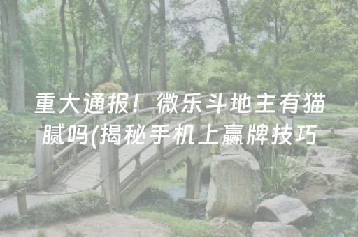 重大通报！微乐斗地主有猫腻吗(揭秘手机上赢牌技巧)