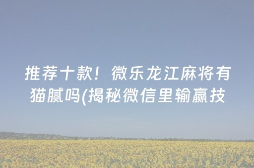 推荐十款！微乐龙江麻将有猫腻吗(揭秘微信里输赢技巧)