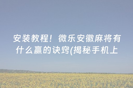 安装教程！微乐安徽麻将有什么赢的诀窍(揭秘手机上提高赢的概率)