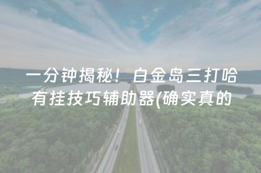 一分钟揭秘！白金岛三打哈有挂技巧辅助器(确实真的有挂)