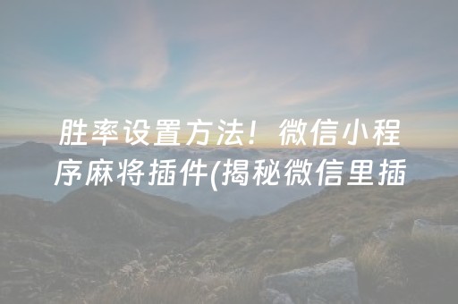 胜率设置方法！微信小程序麻将插件(揭秘微信里插件购买)