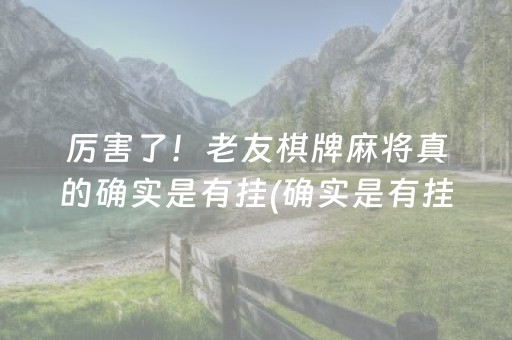 厉害了！老友棋牌麻将真的确实是有挂(确实是有挂的)