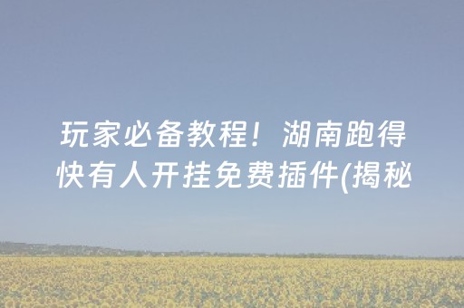 玩家必备教程！湖南跑得快有人开挂免费插件(揭秘小程序助攻神器)