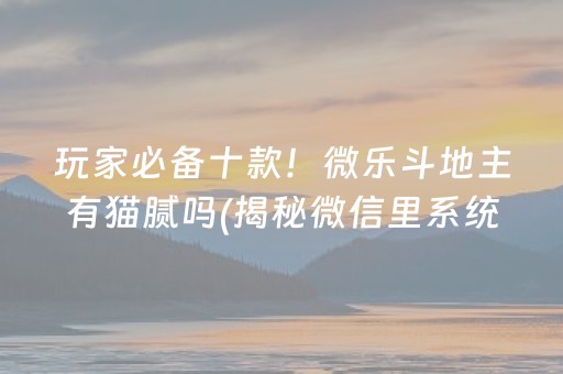 玩家必备十款！微乐斗地主有猫腻吗(揭秘微信里系统发好牌)