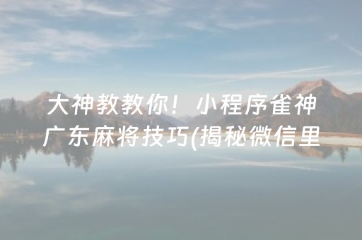 大神教教你！小程序雀神广东麻将技巧(揭秘微信里插件免费)