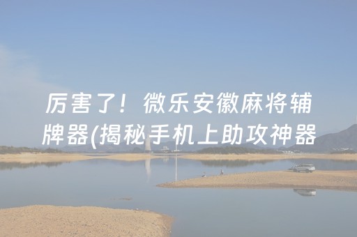 厉害了！微乐安徽麻将辅牌器(揭秘手机上助攻神器)