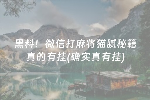 黑料！微信打麻将猫腻秘籍真的有挂(确实真有挂)