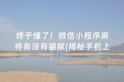 终于懂了！微信小程序麻将有没有猫腻(揭秘手机上如何让牌变好)