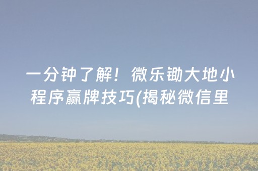 一分钟了解！微乐锄大地小程序赢牌技巧(揭秘微信里专用神器)