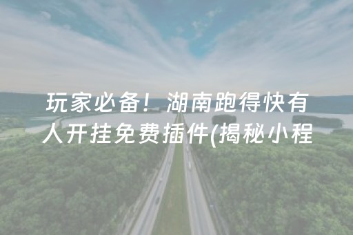玩家必备！湖南跑得快有人开挂免费插件(揭秘小程序如何让牌变好)
