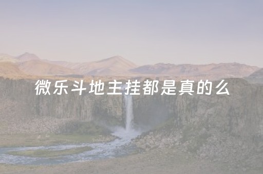微乐斗地主挂都是真的么（微乐斗地主挂贴吧）