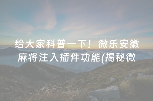 给大家科普一下！微乐安徽麻将注入插件功能(揭秘微信里插件购买)