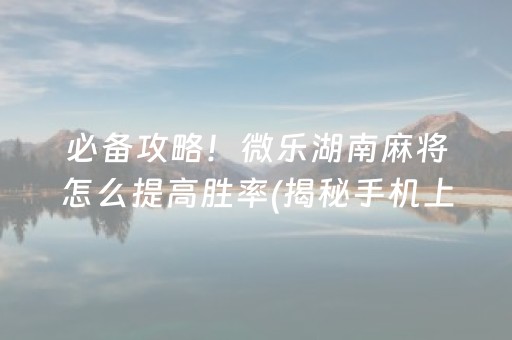 必备攻略！微乐湖南麻将怎么提高胜率(揭秘手机上助手软件)