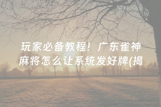 玩家必备教程！广东雀神麻将怎么让系统发好牌(揭秘小程序助攻神器)