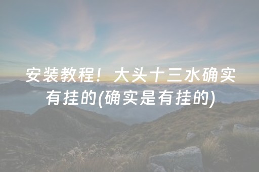 安装教程！大头十三水确实有挂的(确实是有挂的)