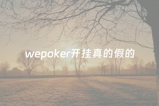 wepoker开挂真的假的（wepoker开挂方法原来有挂）