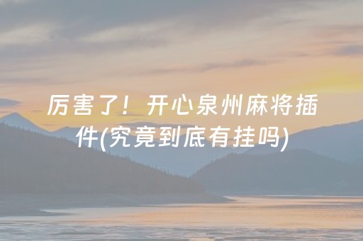 厉害了！开心泉州麻将插件(究竟到底有挂吗)