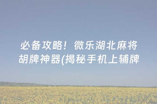 必备攻略！微乐湖北麻将胡牌神器(揭秘手机上辅牌器)