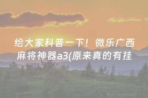 给大家科普一下！微乐广西麻将神器a3(原来真的有挂)
