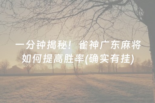 一分钟揭秘！雀神广东麻将如何提高胜率(确实有挂)