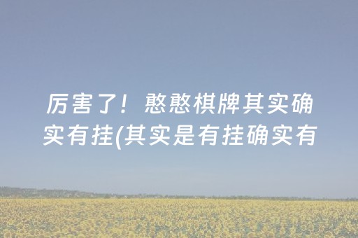 厉害了！憨憨棋牌其实确实有挂(其实是有挂确实有挂)