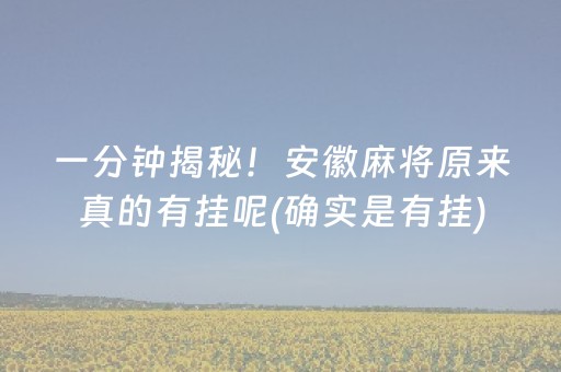 一分钟揭秘！安徽麻将原来真的有挂呢(确实是有挂)