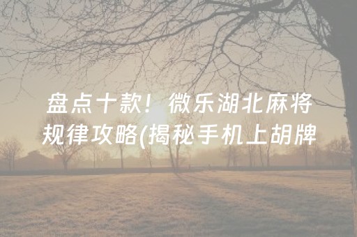 盘点十款！微乐湖北麻将规律攻略(揭秘手机上胡牌神器)