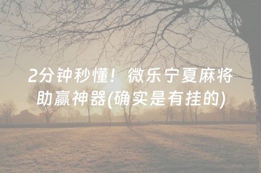 2分钟秒懂！微乐宁夏麻将助赢神器(确实是有挂的)