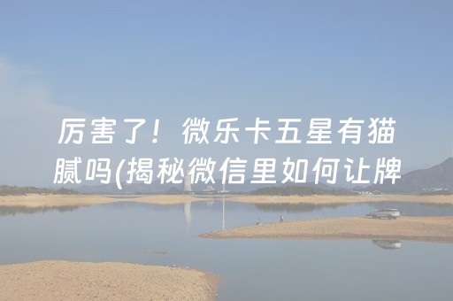 厉害了！微乐卡五星有猫腻吗(揭秘微信里如何让牌变好)